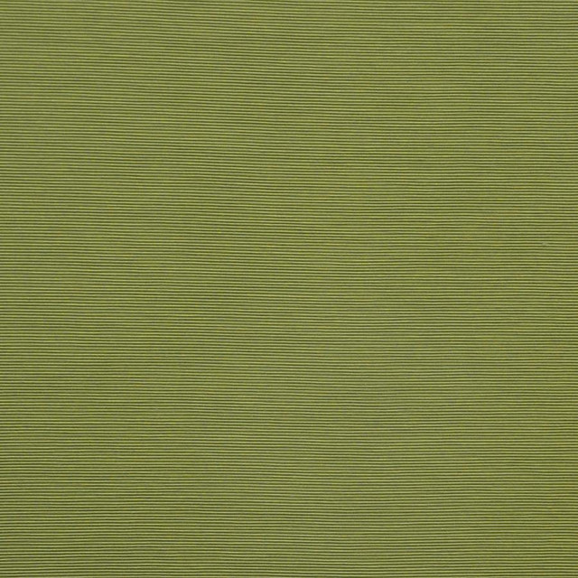 Bursa # 25 Apple Moss by Maxwell Designer Fabric Pure & Simple X 72% RAYON/28% POLYESTER CHINA 56" - Swanky Fabrics -