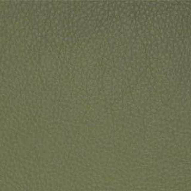 Classic (Contract Vinyl) # 036 Sage by Maxwell Designer Fabric Maxwell Right 22.95 30.98   by product