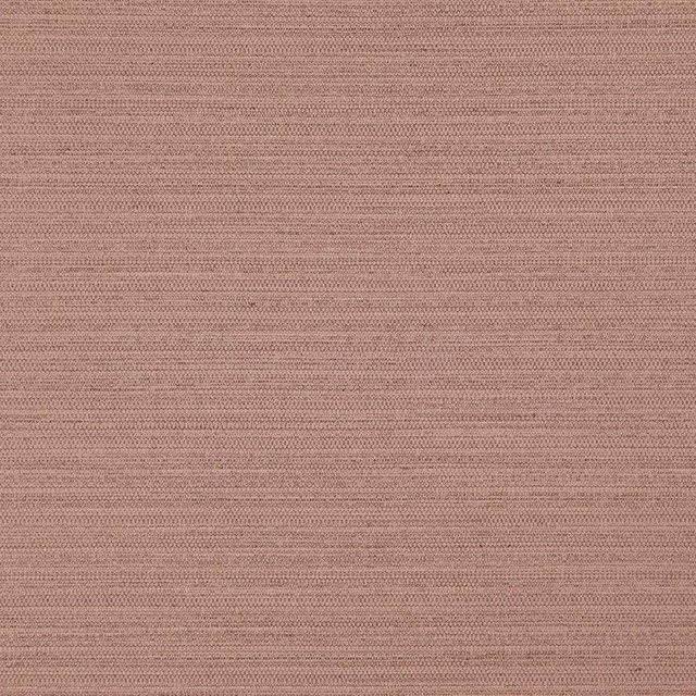 Darwin # 716 Cameo by Maxwell Designer Fabric Pure & Simple Vii 100% POLYESTER INDIA 55" - Swanky Fabrics -