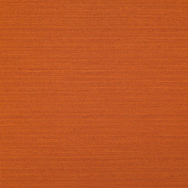 Darwin # 724 Paprika by Maxwell Designer Fabric Pure & Simple Vii 100% POLYESTER INDIA 55" - Swanky Fabrics -