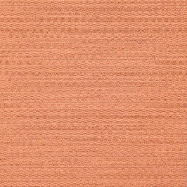 Darwin # 725 Amber by Maxwell Designer Fabric Pure & Simple Vii 100% POLYESTER INDIA 55" - Swanky Fabrics -