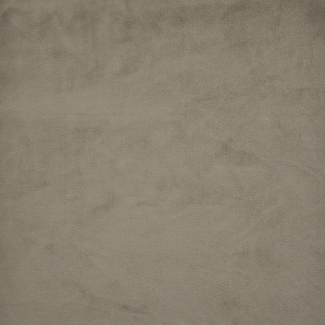 Firenze # 517 Chinchilla by Maxwell Designer Fabric Performance Velvets-Vol.Ii 100% POLYESTER TURKEY 55" - Swanky Fabrics - Firenze # 517 Chinchilla by Maxwell Designer Fabric Performance Velvets-Vol.Ii 100% POLYESTER TURKEY 55" - Swanky Fabrics -