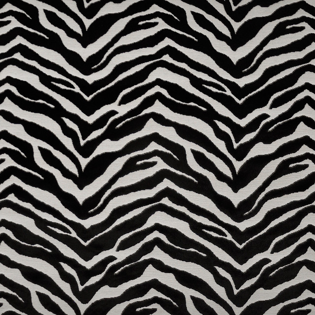 Gambia # 332 Zebra by Maxwell Designer Fabric Maxwell Right 75.5 101.93   by product