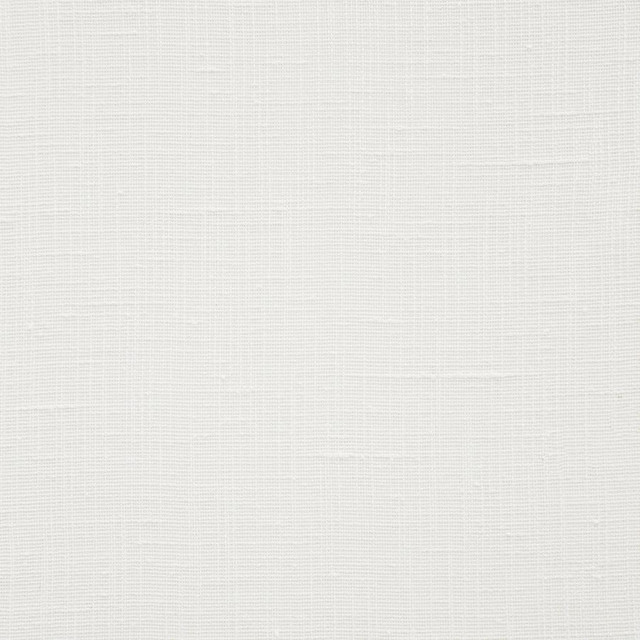Hope # 144 Lace by Maxwell Designer Fabric Pure & Simple Ix 100% POLYESTER INDIA 54" - Swanky Fabrics -