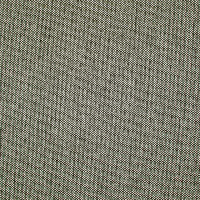 Light Year # 213 Griffin by Maxwell Designer Fabric Maxwell Right 42.95 57.98   by product