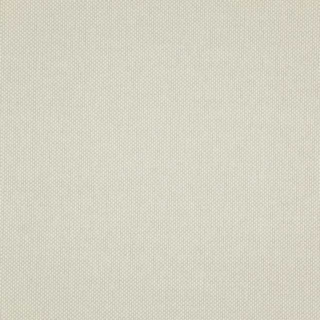 Light Year # 218 Almond by Maxwell Designer Fabric 100% POLYESTER CHINA 56" - Swanky Fabrics -