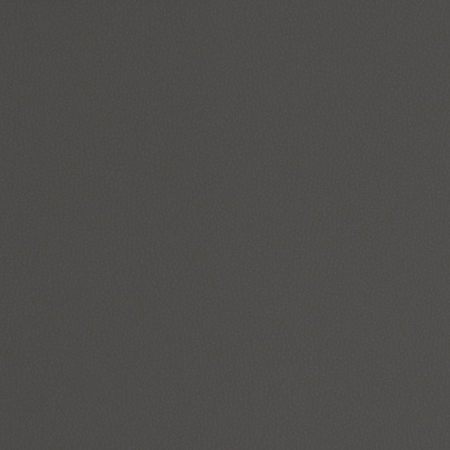 Matinee # 778 Magnet by Maxwell Designer Fabric Easy Rider Vii FACE: 100% POLYURETHANE
BACKING: 100% POLYESTER CHINA 54" - Swanky Fabrics -