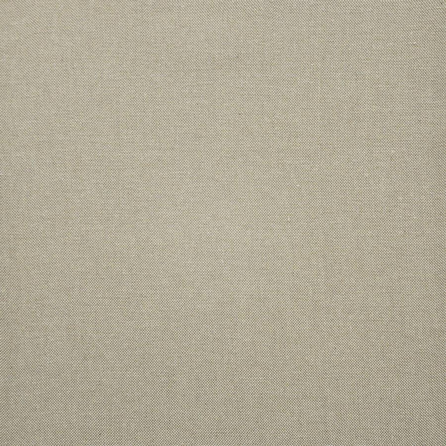 Panda # 305 Stone by Maxwell Designer Fabric Pure & Simple Xi 95% BAMBOO RAYON/5% LINEN INDIA 54" - Swanky Fabrics -