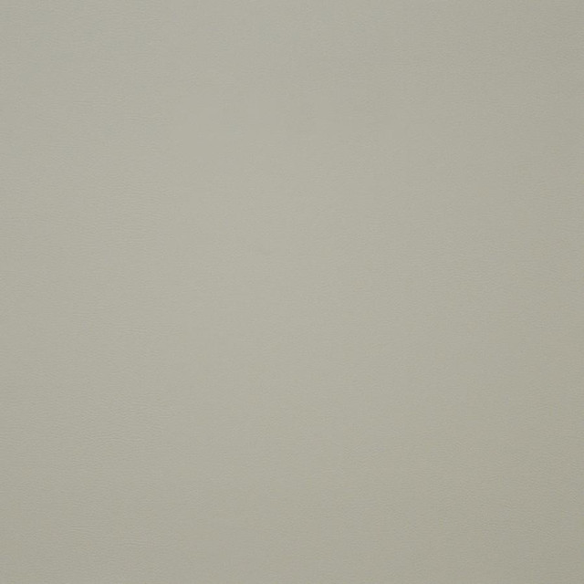 Pinto # 736 Ivory by Maxwell Designer Fabric Easy Rider Iv 100% PVC CHINA 54" - Swanky Fabrics -