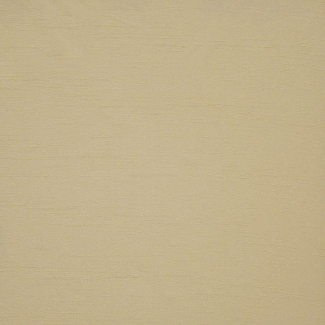 Prato # 536 Amul by Maxwell Designer Fabric Pure & Simple Xii 100% POLYESTER INDIA 54" - Swanky Fabrics -