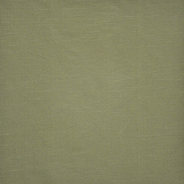 Prato # 580 Lichen by Maxwell Designer Fabric Pure & Simple Xii 100% POLYESTER INDIA 54" - Swanky Fabrics -