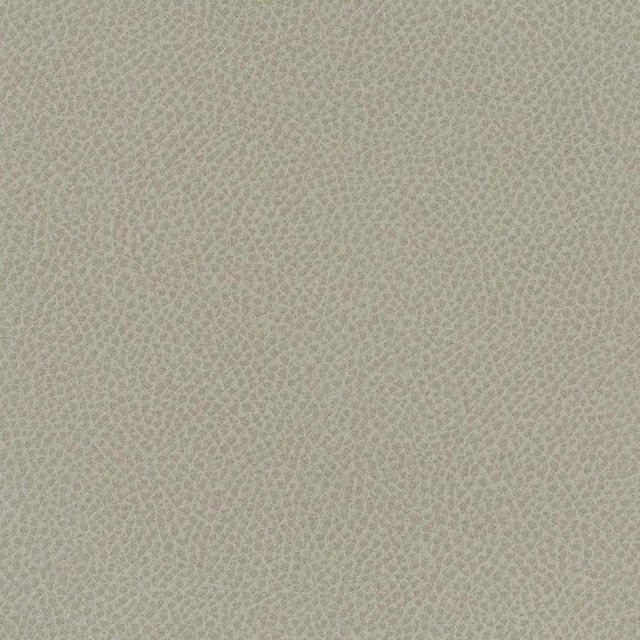 Scene # 737 Crater by Maxwell Designer Fabric Easy Rider Vii FACE: 95% POLYURETHANE/ 5% SILICONE
BACKING:100% POLYESTER TAIWAN 54" - Swanky Fabrics -