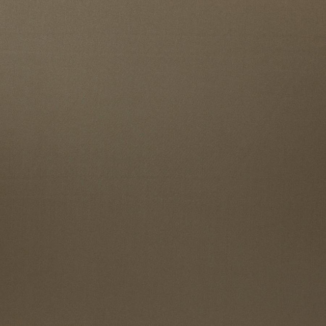 Silky Smooth # 43 Squirrel by Maxwell Designer Fabric Pure & Simple Vi 100% POLYESTER TURKEY 57.5" - Swanky Fabrics -