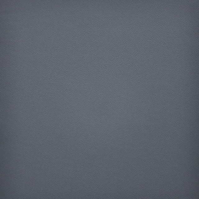 Vesper # 270 Comet by Maxwell Designer Fabric Easy Rider Vi 100% PVC TAIWAN 54" - Swanky Fabrics -