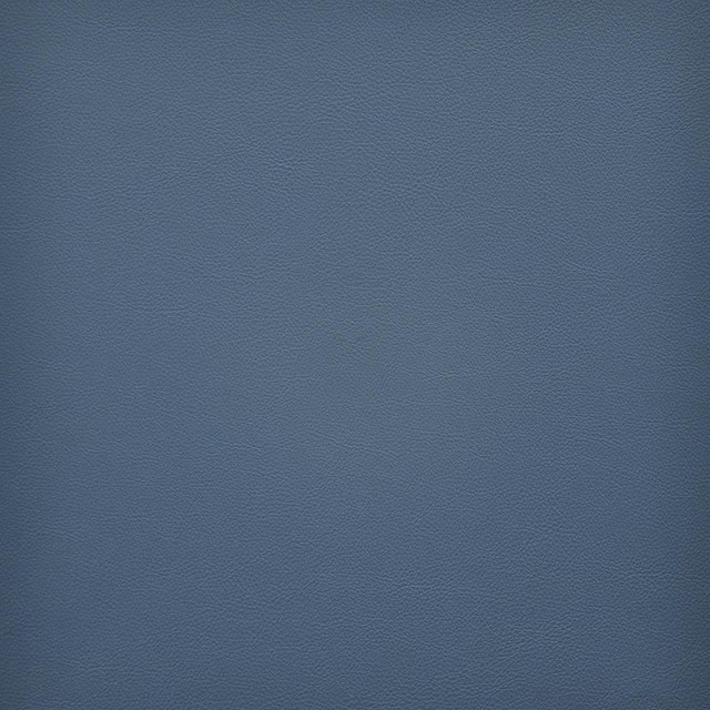 Vesper # 279 Lake by Maxwell Designer Fabric Easy Rider Vi 100% PVC TAIWAN 54" - Swanky Fabrics -