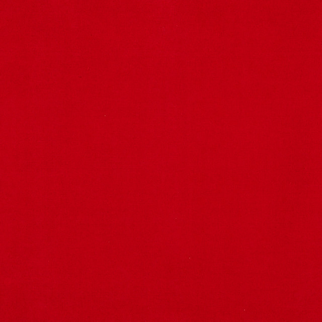Burlington 45J7031 by JF Crypton Designer Fabric Crypton Binder 100% Polyester China 50000 Horizontal: and Vertical: 54 - Swanky Fabrics -