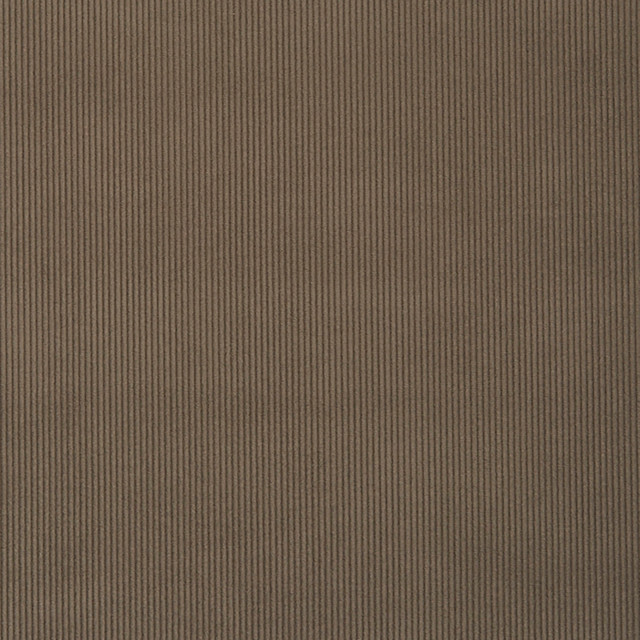 Campbell 97J7031 by JF Crypton Designer Fabric Crypton Binder 100% Polyester China 50000 Horizontal: and Vertical: 54 - Swanky Fabrics -
