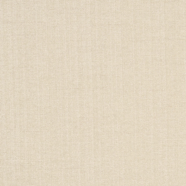 Champion 91J5241 by JF Designer Fabric PROMENADE 83% Polyester, 17% Cotton India 90000 Horizontal: and Vertical: 55 - Swanky Fabrics -