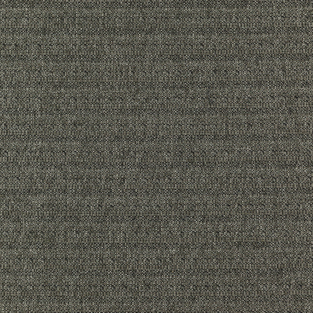 Commander 97J7351 by JF Designer Fabric Winning Weaves VI - Woven Book 100% Polyester India 40000 Horizontal: and Vertical: 57 - Swanky Fabrics -