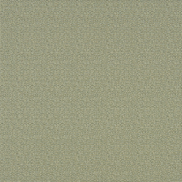 Napanee 74J7031 by JF Crypton Designer Fabric Crypton Binder 100% Polyester United States 50000 Horizontal: and Vertical: 54 - Swanky Fabrics -