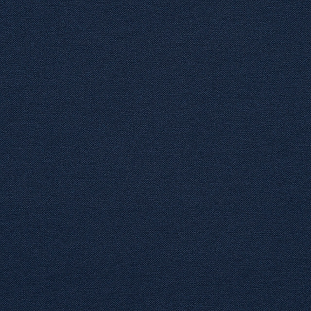 Remington 68J7031 by JF Crypton Designer Fabric Crypton Binder 100% Polyester Taiwan 50000 Horizontal: and Vertical: 54 - Swanky Fabrics -