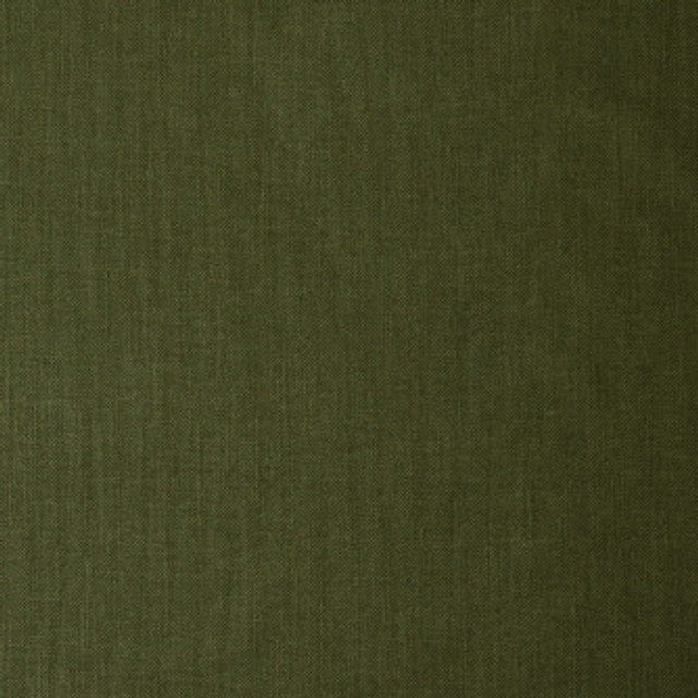 Vibrato Forest by Mitchell Designer Fabric #1810 100% Polyester India </p><p>Repeat: Horizontal: 0 and Vertical: 0 55 - Swanky Fabrics -