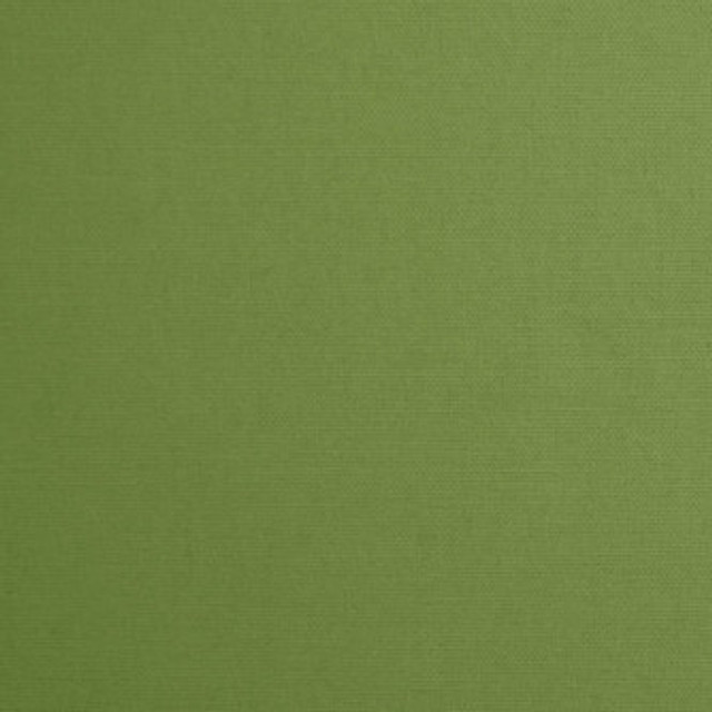 Daffy Basil by Mitchell Designer Fabric #1425 100% Cotton India </p><p>Repeat: Horizontal: 0 and Vertical: 0 56 - Swanky Fabrics -