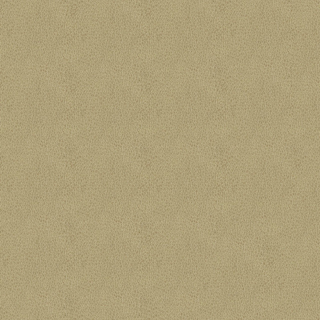 Baldwin 6003 Beige by ABBEYSHEA Designer Fabric N/A 85% Polyester, 15% Cotton China 50,000 Double Rubs </p><p>Repeat: Horizontal: 14.3" (36.5 cm) Across the Roll and Vertical: 29.5" (75.0 cm) Up the Roll 56" (142 cm) - Swanky Fabrics -