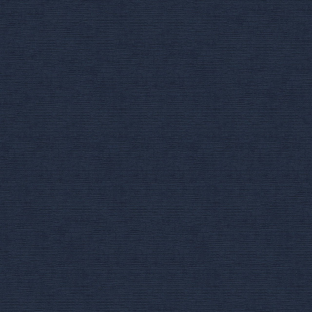 Heavenly 309 Naval by Endurepel Designer Fabric N/A 100% Polyester China 125,000 Double Rubs </p><p>Repeat: Horizontal: and Vertical: 55" (140 cm) - Swanky Fabrics -