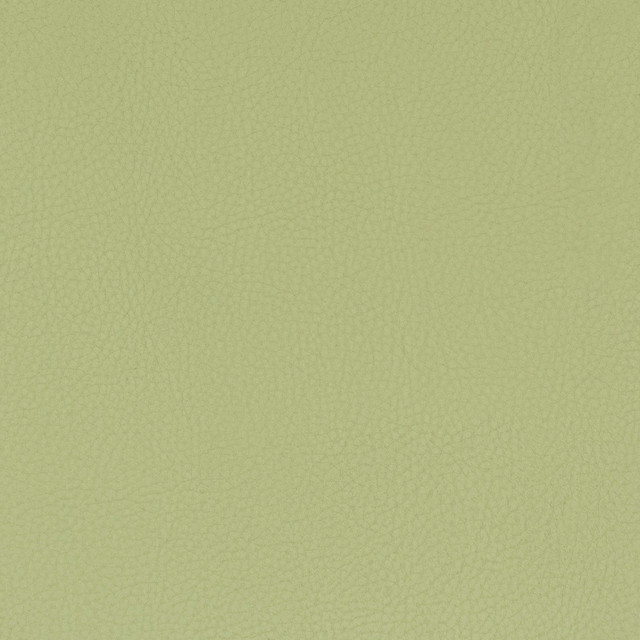 Classic 8 Pistachio by Stout Designer Fabric ALL THINGS VERSATILE 80%OTH 20%UV KOREA WYZENBEEK 100 000 DOUBLE RUB WEAR TEST (HEAVY DUTY) PERFORMANCE RATED FABRIC FLAME RETARDANT-U.F.A.C. CLASS 1 CATB 117-2013 Horizontal: 0 and Vertical: 0 54 in - Swanky Fabrics -