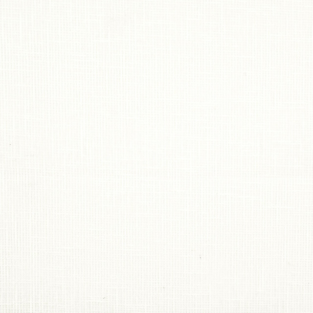 Gilroy 5 Cream by Stout Designer Fabric COLOR MY WINDOW NEUTRAL/MICA 91%POL 9%COT INDIA Horizontal: 0 and Vertical: 0 55 in - Swanky Fabrics -