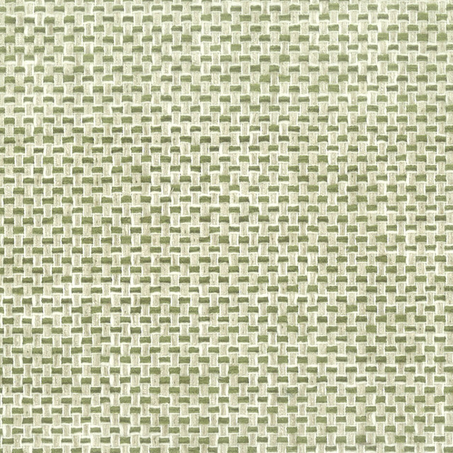 Golf 2 Fern by Stout Designer Fabric COMFORTABLE LIVING ALOE/FERN 36%COT 64%POL INDIA CATB 117-2013 WYZENBEEK 100 000 DOUBLE RUB WEAR TEST (HEAVY DUTY) Horizontal: 2 and Vertical: 0 54 in - Swanky Fabrics -