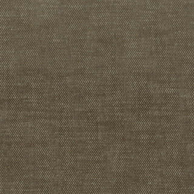 Orwin 30 Bran by Stout Designer Fabric A LA MODE 71%POL 29%COT INDIA Horizontal: 0 and Vertical: 0 54 in - Swanky Fabrics -