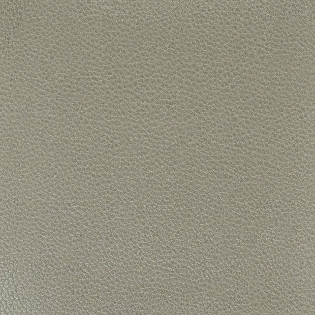 Pitcher 1 Graphite by Stout Designer Fabric LEATHER LOOKS IV 100%POL CHINA PERFORMANCE RATED FABRIC FLAME RETARDANT-U.F.A.C. CLASS 1 FLAME RETARDANT-N.F.P.A. 260A CLASS 1 CATB 117-2013 WYZENBEEK 100 000 DOUBLE RUB WEAR TEST (HEAVY DUTY) Horizontal: 0 and Vertical: 0 54 in - Swanky Fabrics -