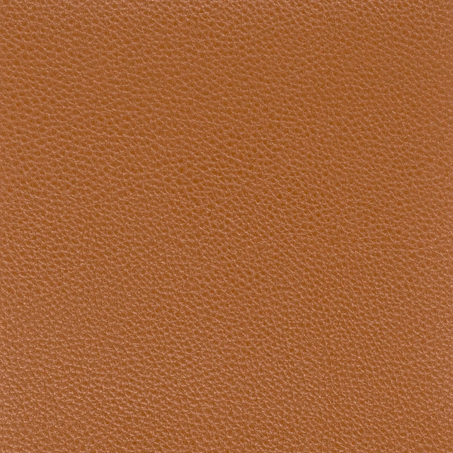Pitcher 7 Saddle by Stout Designer Fabric LEATHER LOOKS IV 100%POL CHINA PERFORMANCE RATED FABRIC FLAME RETARDANT-U.F.A.C. CLASS 1 FLAME RETARDANT-N.F.P.A. 260A CLASS 1 CATB 117-2013 WYZENBEEK 100 000 DOUBLE RUB WEAR TEST (HEAVY DUTY) Horizontal: 0 and Vertical: 0 54 in - Swanky Fabrics -