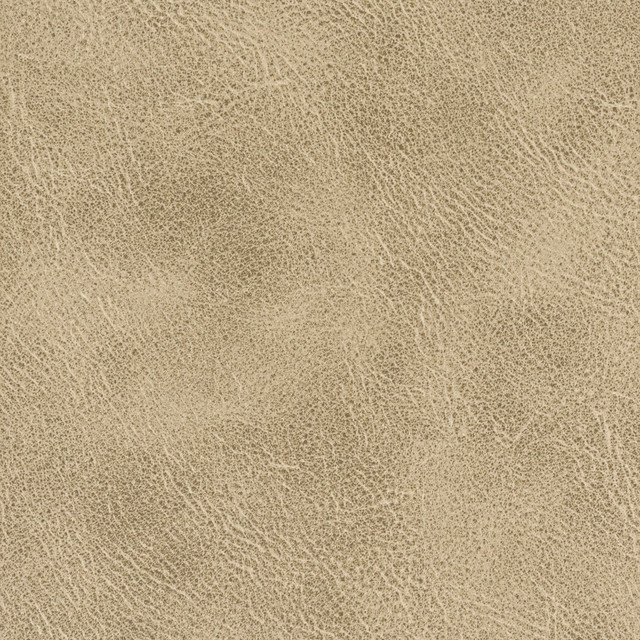 Radnor 1 Toffee by Stout Designer Fabric LEATHER LOOKS IV 100%POL CHINA PERFORMANCE RATED FABRIC FLAME RETARDANT-U.F.A.C. CLASS 1 FLAME RETARDANT-N.F.P.A. 260A CLASS 1 CATB 117-2013 WYZENBEEK 100 000 DOUBLE RUB WEAR TEST (HEAVY DUTY) Horizontal: 0 and Vertical: 0 54 in - Swanky Fabrics -