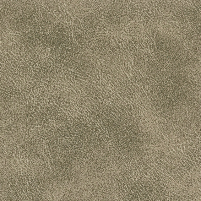 Radnor 3 Flint by Stout Designer Fabric LEATHER LOOKS IV 100%POL CHINA PERFORMANCE RATED FABRIC FLAME RETARDANT-U.F.A.C. CLASS 1 FLAME RETARDANT-N.F.P.A. 260A CLASS 1 CATB 117-2013 WYZENBEEK 100 000 DOUBLE RUB WEAR TEST (HEAVY DUTY) Horizontal: 0 and Vertical: 0 54 in - Swanky Fabrics - Radnor 3 Flint by Stout Designer Fabric LEATHER LOOKS IV 100%POL CHINA PERFORMANCE RATED FABRIC FLAME RETARDANT-U.F.A.C. CLASS 1 FLAME RETARDANT-N.F.P.A. 260A CLASS 1 CATB 117-2013 WYZENBEEK 100 000 DOUBLE RUB WEAR TEST (HEAVY DUTY) Horizontal: 0 and Vertical: 0 54 in - Swanky Fabrics -