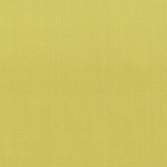Stanford 10 Citrine by Stout Designer Fabric A LA MODE 100%COT INDIA Horizontal: 0 and Vertical: 0 54 in - Swanky Fabrics -