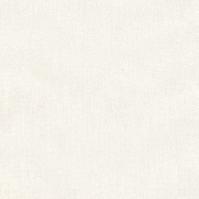 Comfort Alabaster by Carole Designer Fabric Daydreaming 100% Cotton India Passes 21,000 Double Rubs Wyzenbeek Horizontal: 0 and Vertical: 0 54 - Swanky Fabrics -