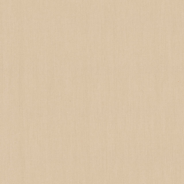 Comfort Oatmeal by Carole Designer Fabric Daydreaming 100% Cotton India Passes 21,000 Double Rubs Wyzenbeek Horizontal: 0 and Vertical: 0 54 - Swanky Fabrics -