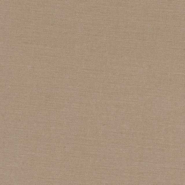 Comfort Tawny by Carole Designer Fabric Daydreaming 100% Cotton India Passes 21,000 Double Rubs Wyzenbeek Horizontal: 0 and Vertical: 0 54 - Swanky Fabrics -