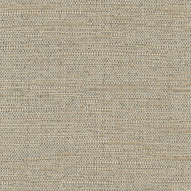 Cliff Top Bronze by Carole Designer Fabric Excursion 66% Polyester, 34% Cotton India 36,000 Wyzenbeek Double Rubs Horizontal: 0 and Vertical: 0 56 - Swanky Fabrics -