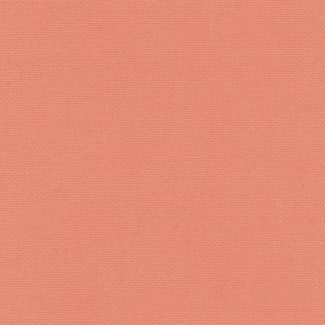 Daydreamer Coral Red by Carole Designer Fabric Daydreaming 100% Cotton- Soil Release USA Passes 30,000 Double Rubs Wyzenbeek Horizontal: 0 and Vertical: 0 54 - Swanky Fabrics -