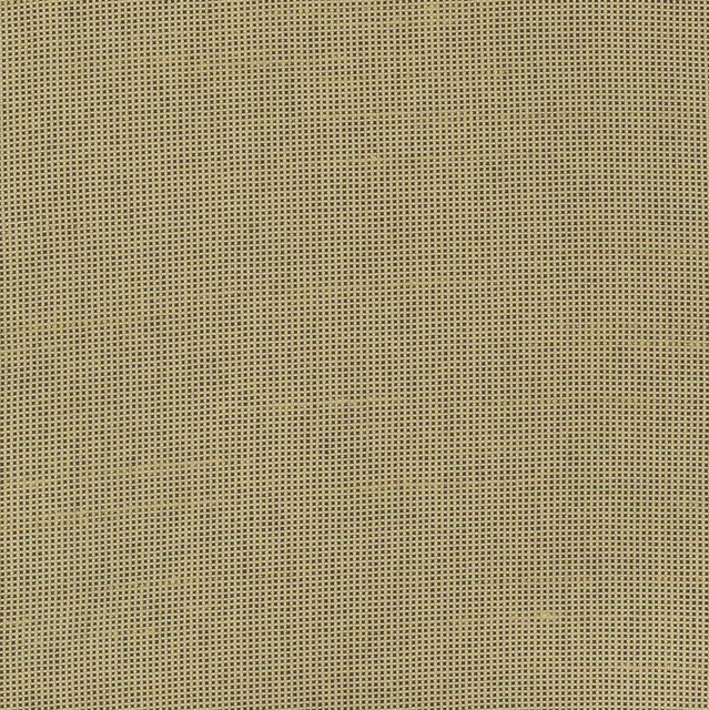 Fleeting Cashew by Carole Designer Fabric Royale 100% Polyester India Passes 50,000 Double Rubs Wyzenbeek Horizontal: 0 and Vertical: 0 54 - Swanky Fabrics -