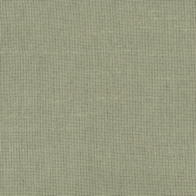 Fleeting Olive by Carole Designer Fabric Royale 100% Polyester India Passes 50,000 Double Rubs Wyzenbeek Horizontal: 0 and Vertical: 0 54 - Swanky Fabrics -