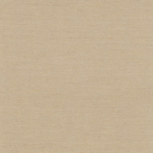 Northwind Tussah by Carole Designer Fabric New Northwind Iv 100% Polyester India Passes 9,000 Double Rubs Wyzenbeek Horizontal: 0 and Vertical: 0 54 - Swanky Fabrics - Northwind Tussah by Carole Designer Fabric New Northwind Iv 100% Polyester India Passes 9,000 Double Rubs Wyzenbeek Horizontal: 0 and Vertical: 0 54 - Swanky Fabrics -