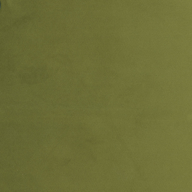 Plush Touch Avocado by Carole Designer Fabric Touch Of Luxury 100% Polyester Knit Backing China 235,000 Wyzenbeek Double Rubs Horizontal: 0 and Vertical: 0 55 - Swanky Fabrics -