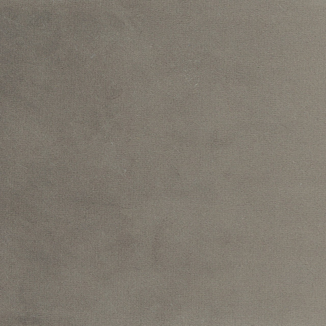 Plush Touch Charcoal by Carole Designer Fabric Touch Of Luxury 100% Polyester Knit Backing China 235,000 Wyzenbeek Double Rubs Horizontal: 0 and Vertical: 0 55 - Swanky Fabrics -