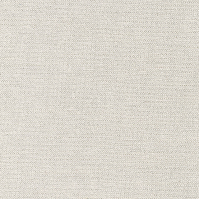 Regal Touch Silver by Carole Designer Fabric Touch Of Luxury 100% Polyester Turkey 15,000 Wyzenbeek Double Rubs Horizontal: 0 and Vertical: 0 55 - Swanky Fabrics -