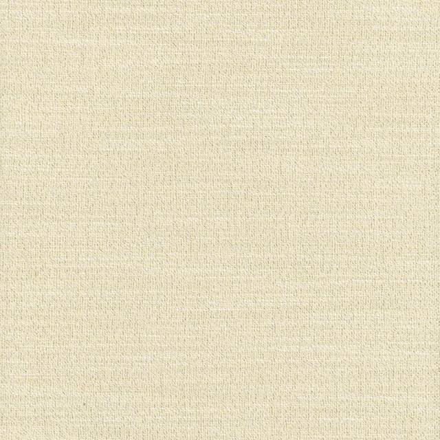 Say Yes Shimmer by Carole Designer Fabric Winner'S Circle 78% Polyester, 22% Viscose India N/A Horizontal: 0 and Vertical: 0 55 - Swanky Fabrics -